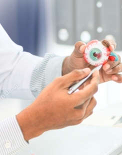 หลักสูตรอนุสาขาจอตาและวุ้นตา